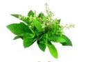 Kokos-olie gezondheid en totale beauty look