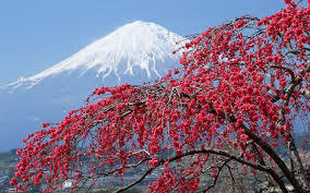 Japanse patronen en hun betekenis