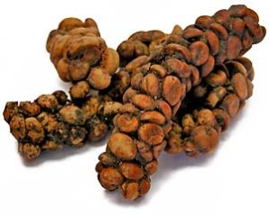 Kopi Luwak: de meest exclusieve koffie ter wereld.