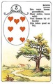 Lenormand de Boom combinaties en symboliek