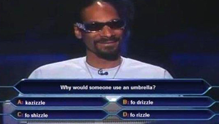 Wat betekent Fo Shizzle my Nizzle?