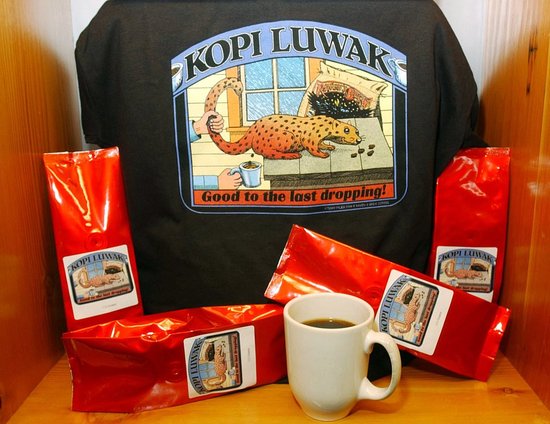 Kopi Luwak: de meest exclusieve koffie ter wereld.