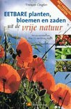 Recepten en het gebruik van de grote Engelwortel